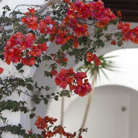 Elisso's Philoxenia Appart hôtel