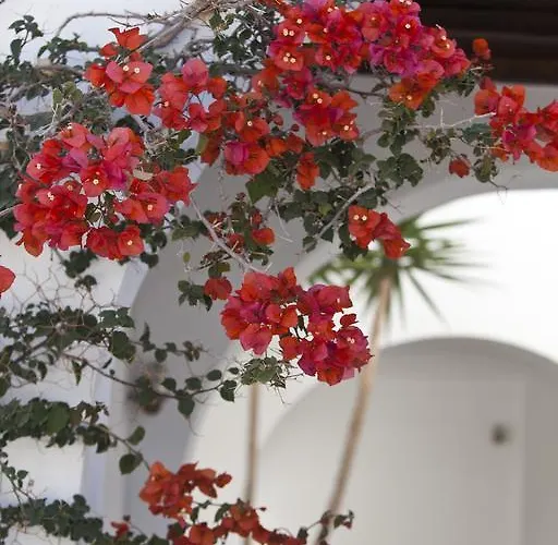 Elisso's Philoxenia Aparthotel