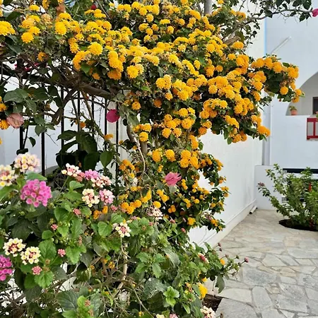 Elisso's Philoxenia 3*